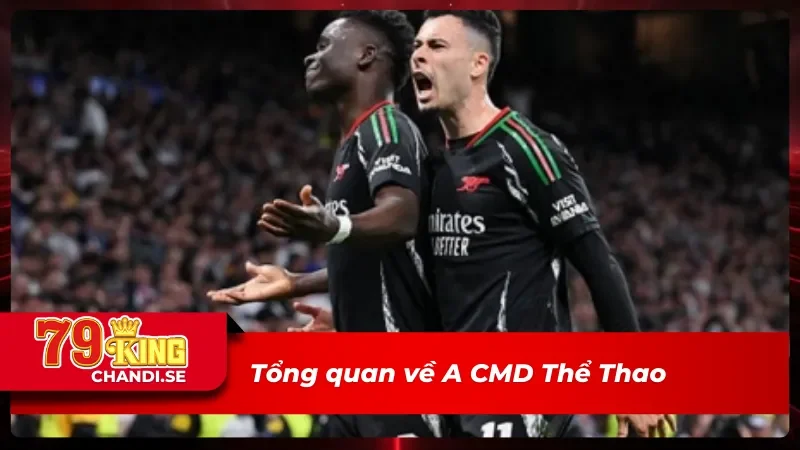 A CMD Thể Thao Không Gian Cá Cược Thể Thao Sôi Động 1 Những thông tin chính về A CMD thể thao