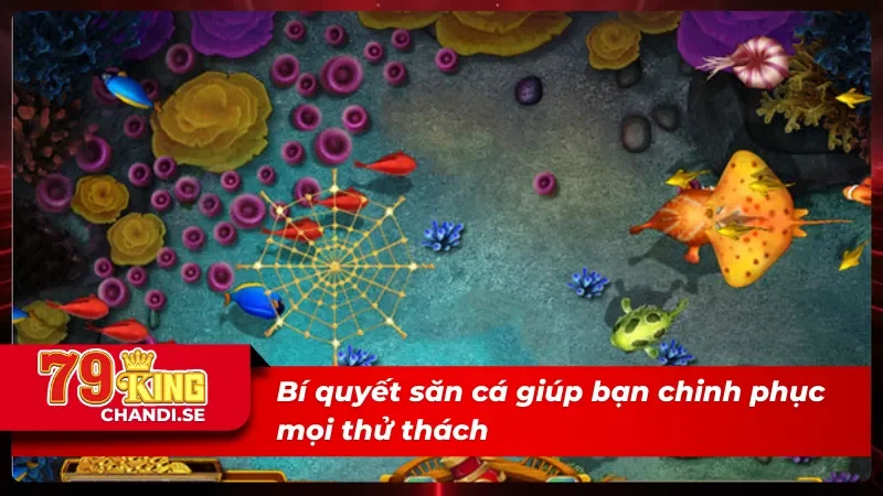 Một số bí quyết giúp bạn chinh phục BG bắn cá