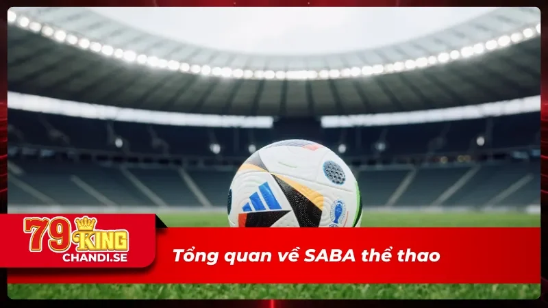 Những điều người chơi cần biết về SABA thể thao