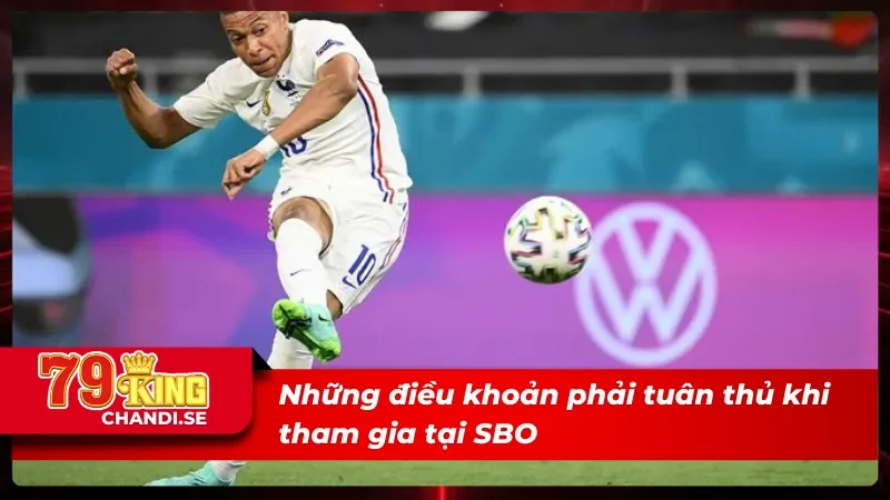 05 điều khoản phải tuân thủ tại SBO thể thao