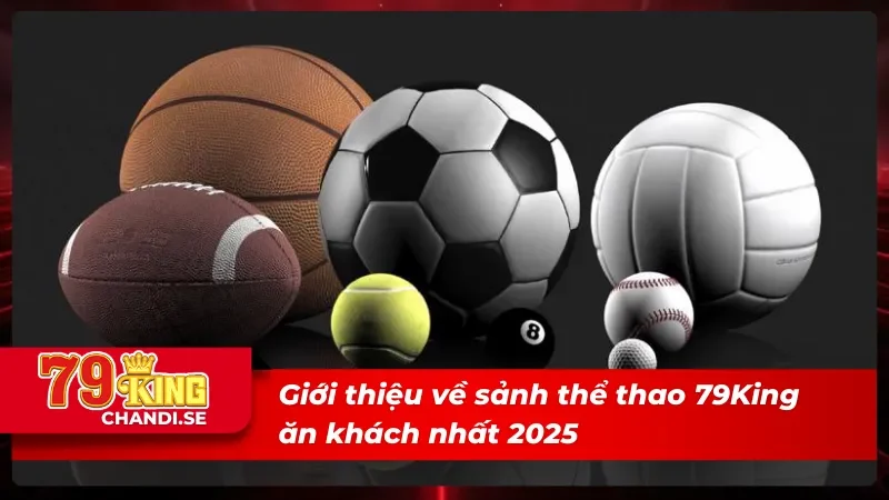 Giới thiệu về thể thao 79King ăn khách nhất 2025