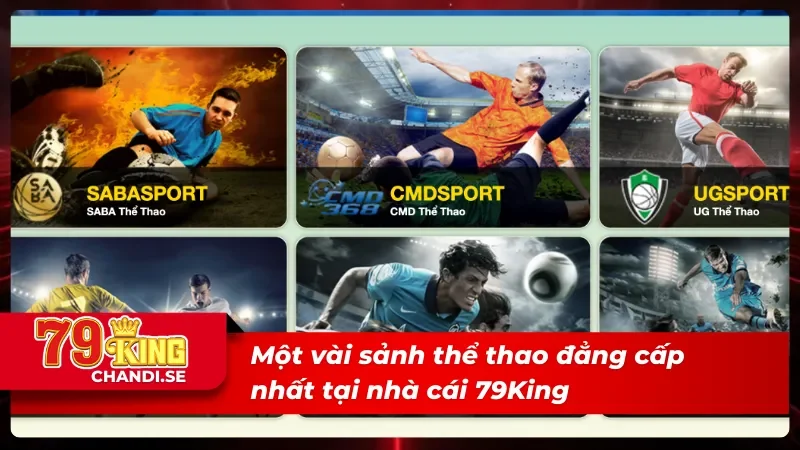 Một vài sảnh thể thao 79King đẳng cấp nhất